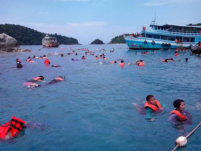Snorkelling around Koh Chang
