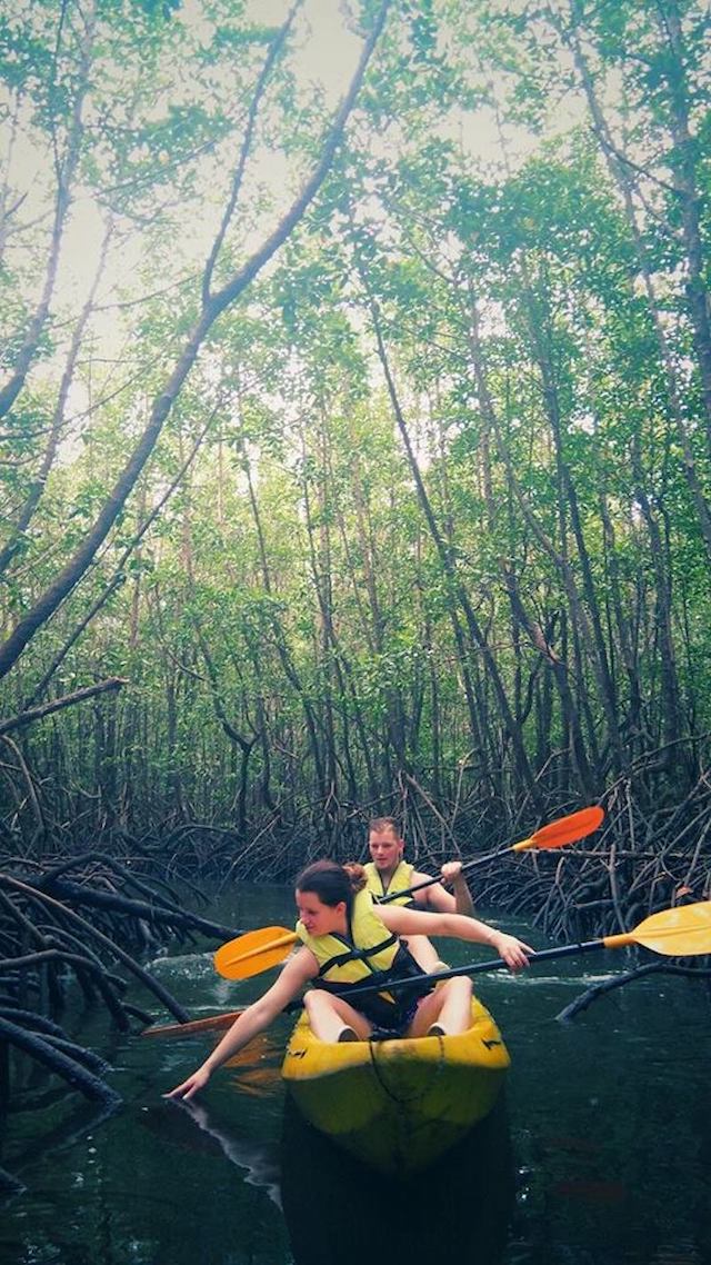 Kayaking in the mangrove with Thomas
