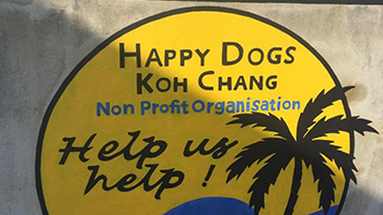 Happy Dogs Koh Chang Happy Dogs Koh Chang