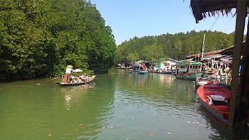 Jungle and mangrove treks Jungle and mangrove treks