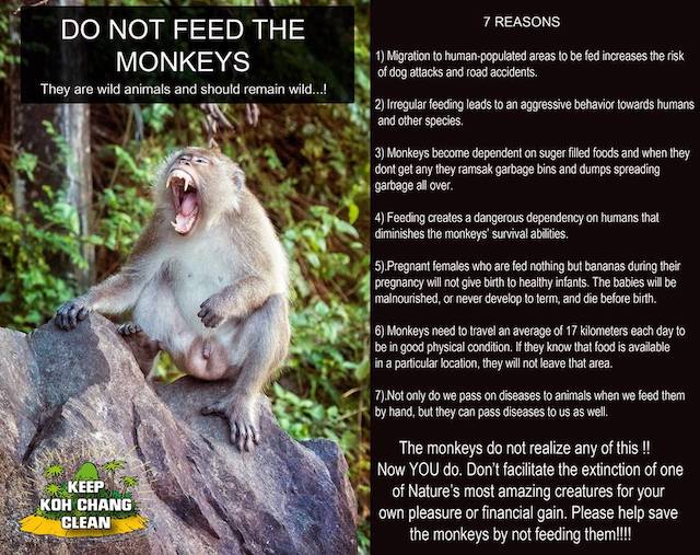 Do Not Feed The Monkeys