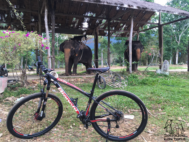 Koh Chang Holiday - Bicycles for rent