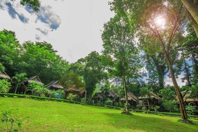 Tarzan Island Resort & Restaurant