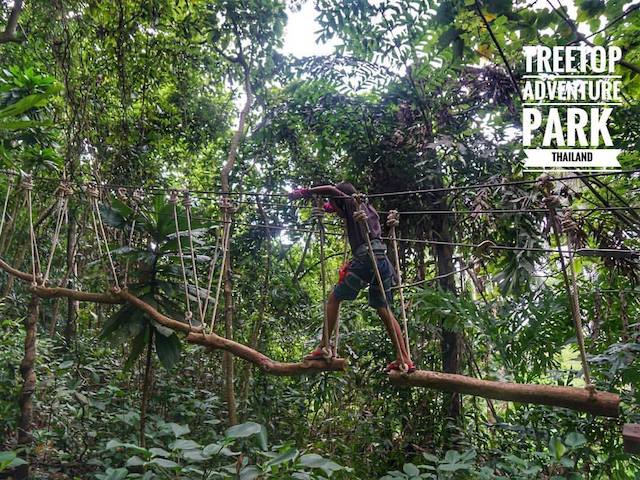 Tree Top Adventure Park