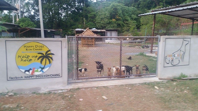 Happy Dogs Koh Chang