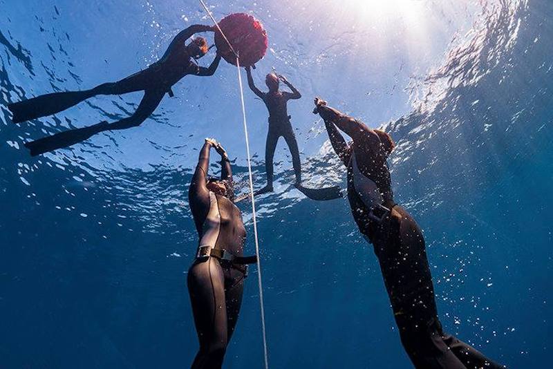 BB Freedivers