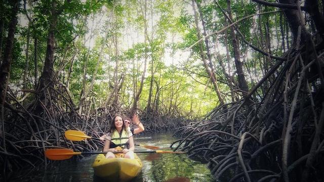 Kayaking in the mangrove with Thomas