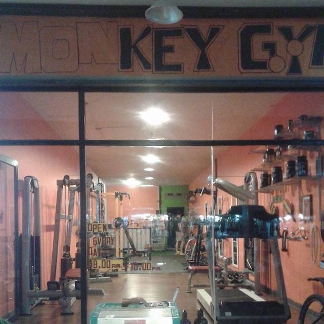 Monkey Gym