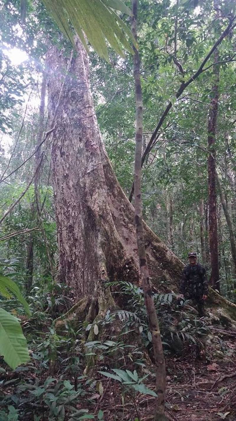 Jungle Trip Koh Chang