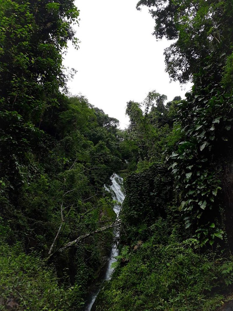 Jungle Trip Koh Chang