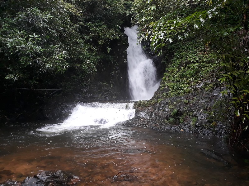 Jungle Trip Koh Chang