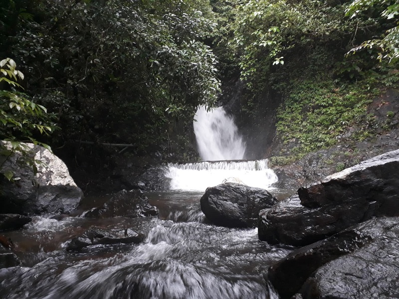 Jungle Trip Koh Chang