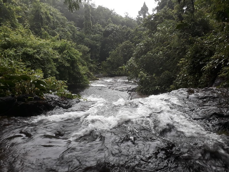 Jungle Trip Koh Chang