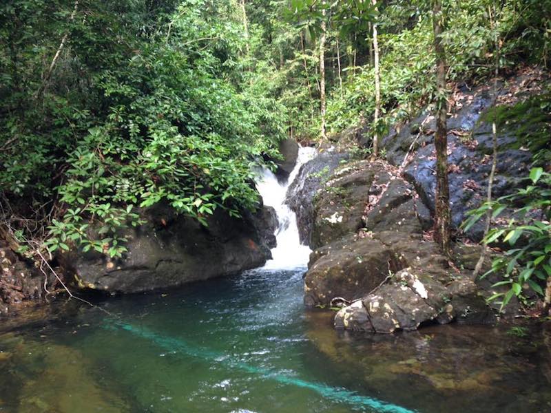 Jungle Trip Koh Chang