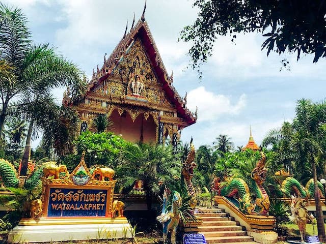 Wat Salak Phet