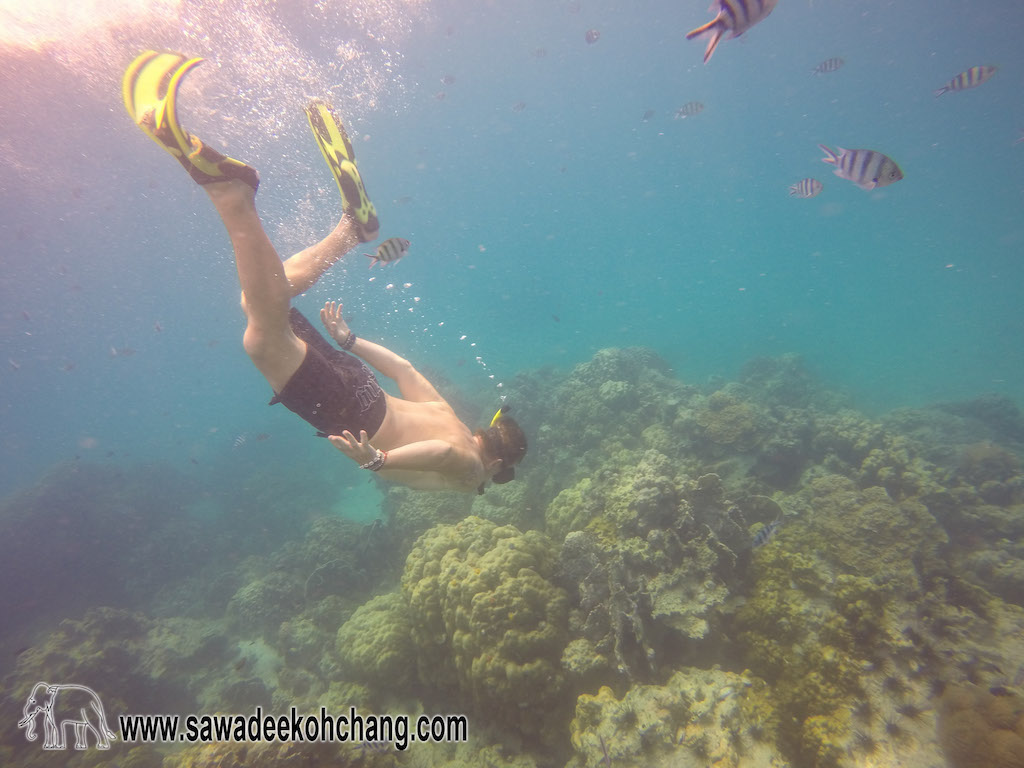 Snorkelling