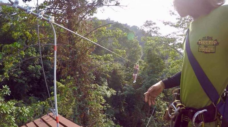 Treetop Adventure Park