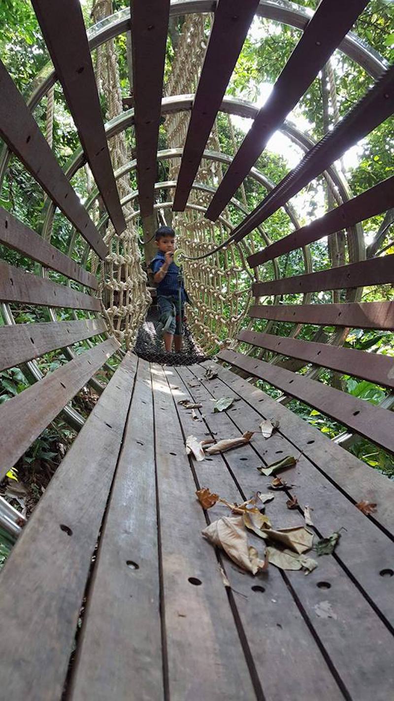 Treetop Adventure Park