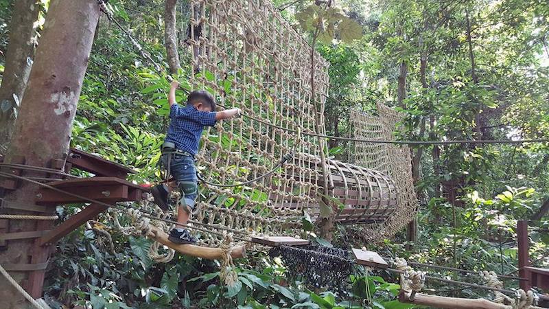 Treetop Adventure Park