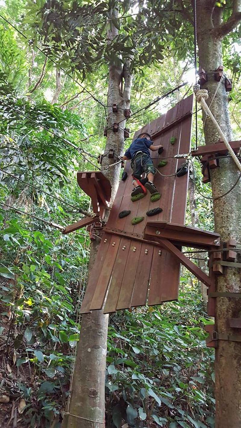 Treetop Adventure Park