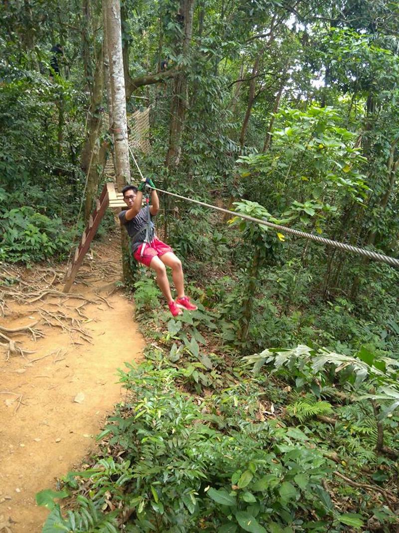 Treetop Adventure Park