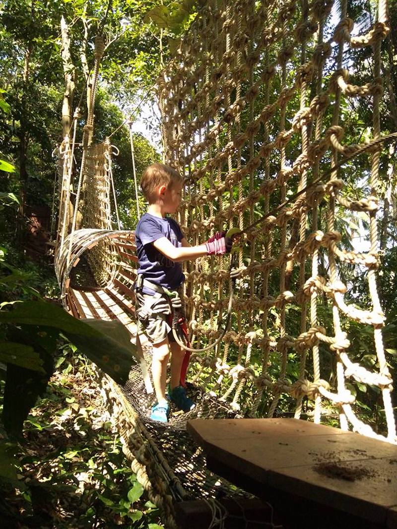 Treetop Adventure Park