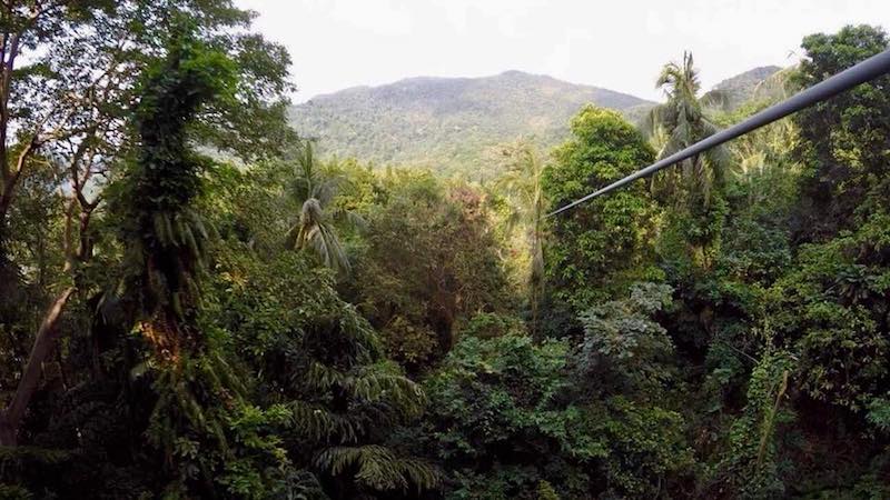 Treetop Adventure Park